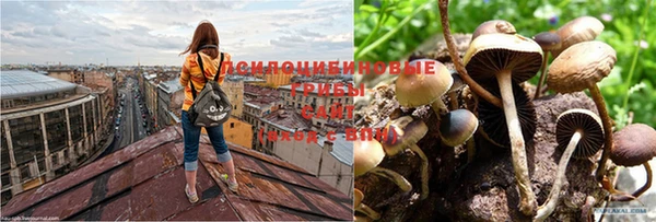героин Абдулино
